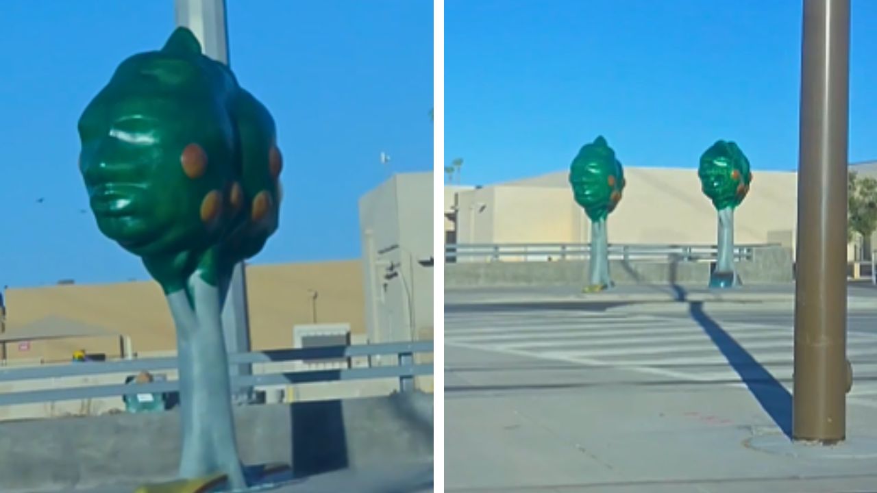 Phoenix’s orange tree installations sparks debate over public spending