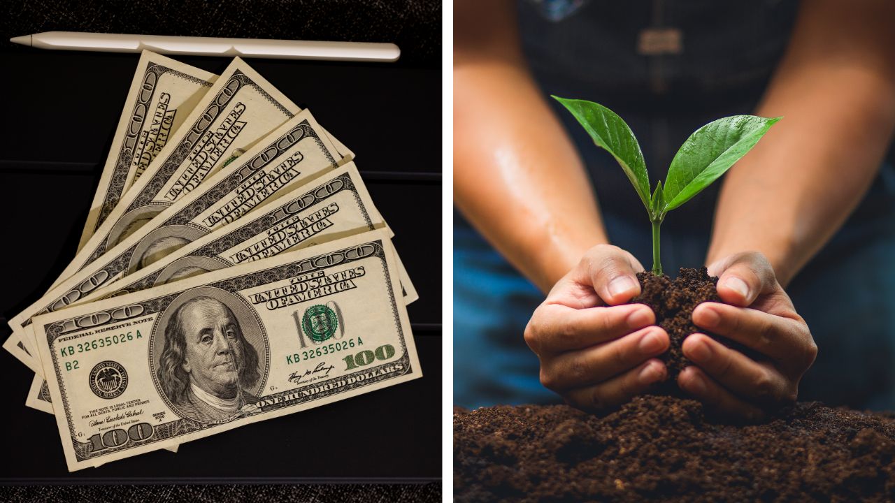 Redditors earning beyond $500 reveal what they do for a living.