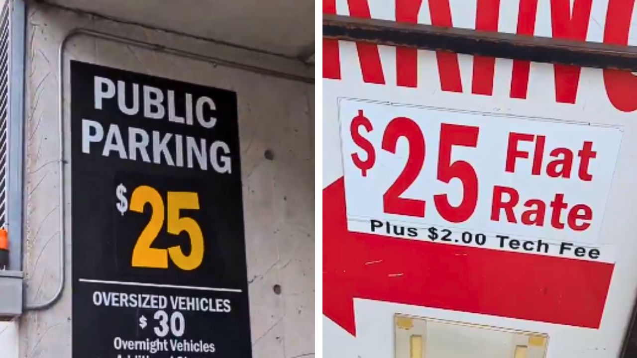 This video criticizes a $25 parking fee and calls for “free parking”