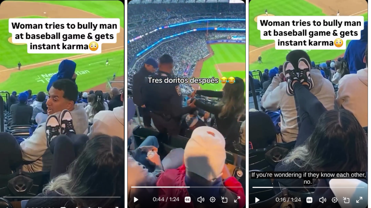 This Woman Got What She Deserved After Harassing a Man at a Baseball Game