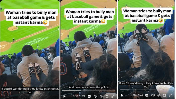 This Woman Got What She Deserved After Harassing a Man at a Baseball Game