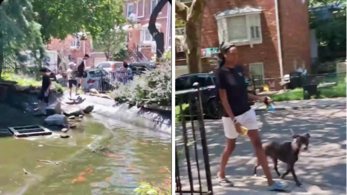 Kids Scatter After This Woman Screamed at Them for Stealing Fish from the Neighborhood Pond