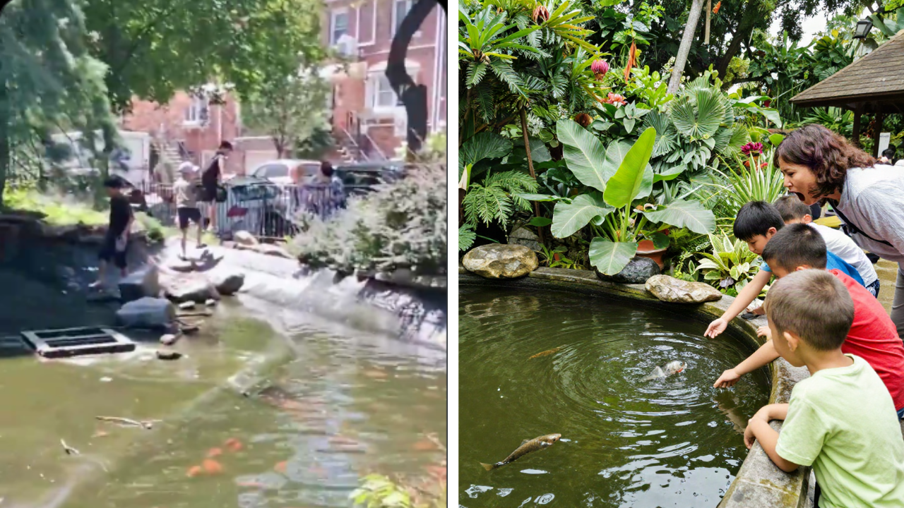Kids Scatter After This Woman Screamed at Them for Stealing Fish from the Neighborhood Pond