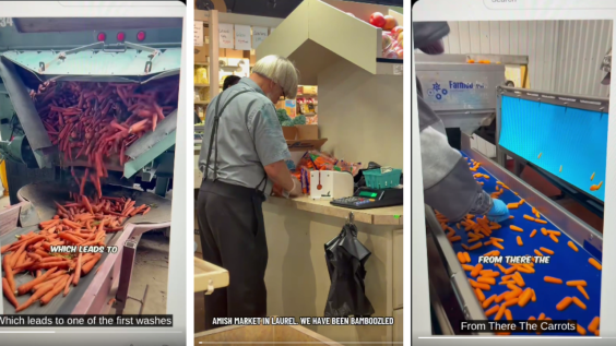 Baby Carrots are Unnatural? A Video on X is Going Viral for Exposing the Amish Baby Carrots Scam
