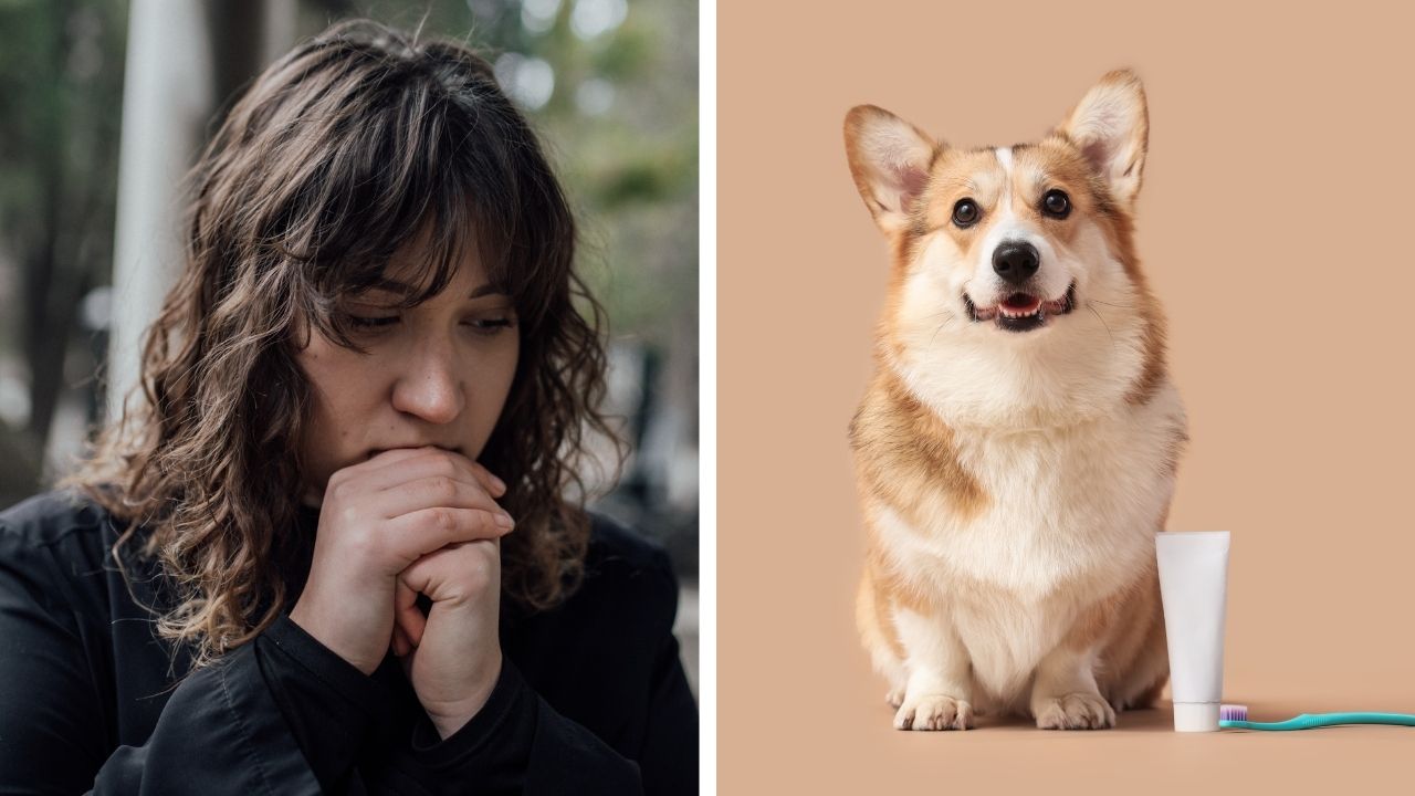 Woman left distraught after her ex tried to prove she didn't love their pet by weighing the dog's toothpaste.