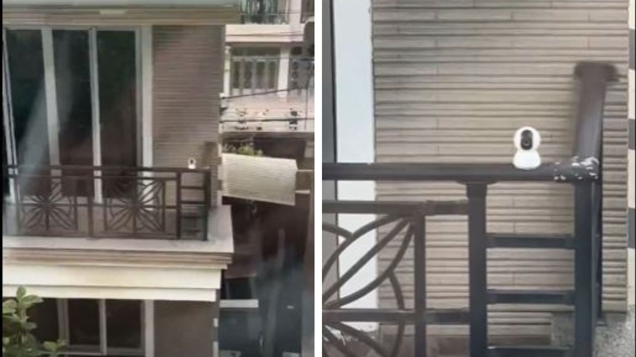Reddit has ideas about dealing with nosy neighbor.