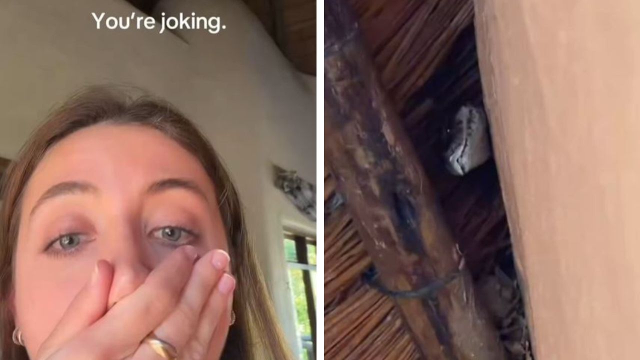 Woman spots giant python in ceiling
