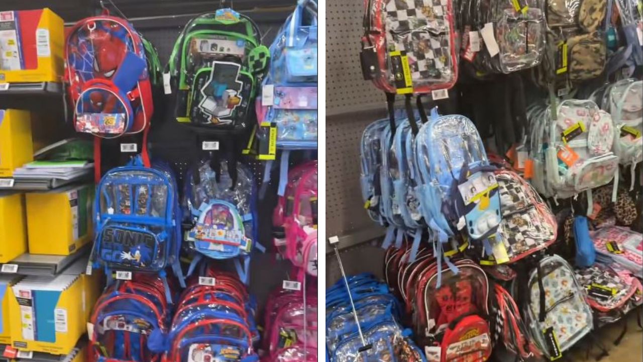 Mom questions transparent backpacks at schools.