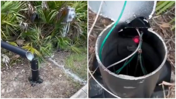 Video Shows Flock Camera Cut Down as Commenters Say: “Mass Surveillance Must Be Stopped”