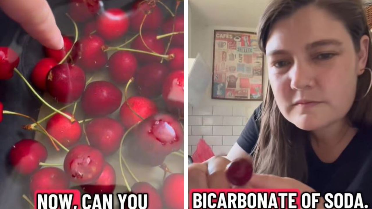 Woman shows maggots in wild cherries