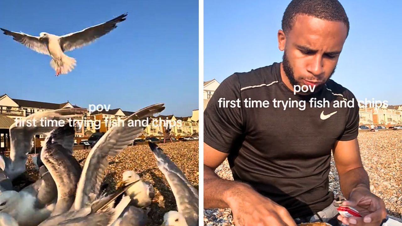 A TikTok captures the moment seagulls swoop in and steal a beachgoer’s fish and chips.