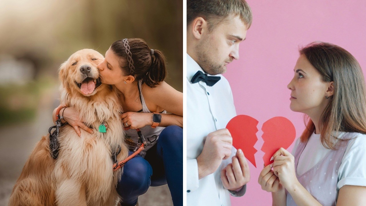 Boyfriend Vs Dog