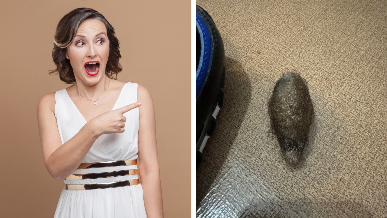 Mysterious hairy object has Redditors asking if it's a moth cocoon or an owl pellet.