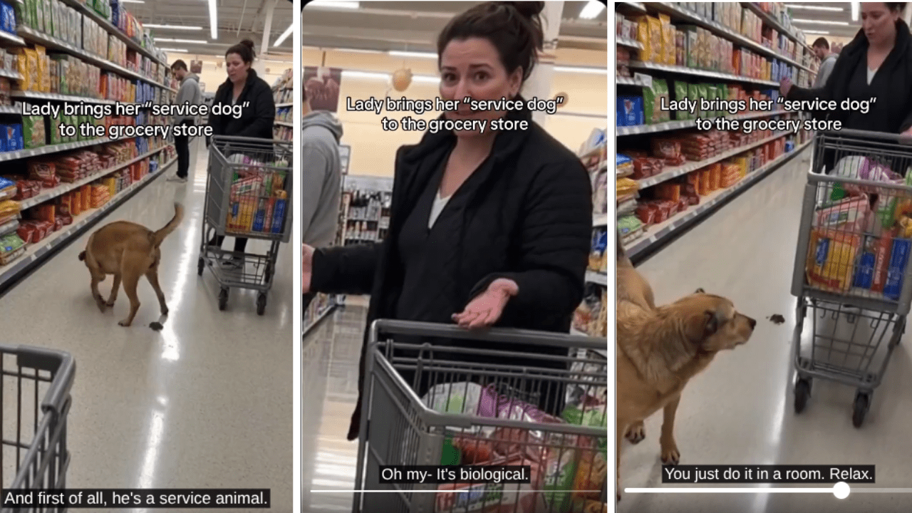 Despite Being Untrained, This Woman Claimed her Pet was a Service Dog After it Took a Dump on the Grocery Floor