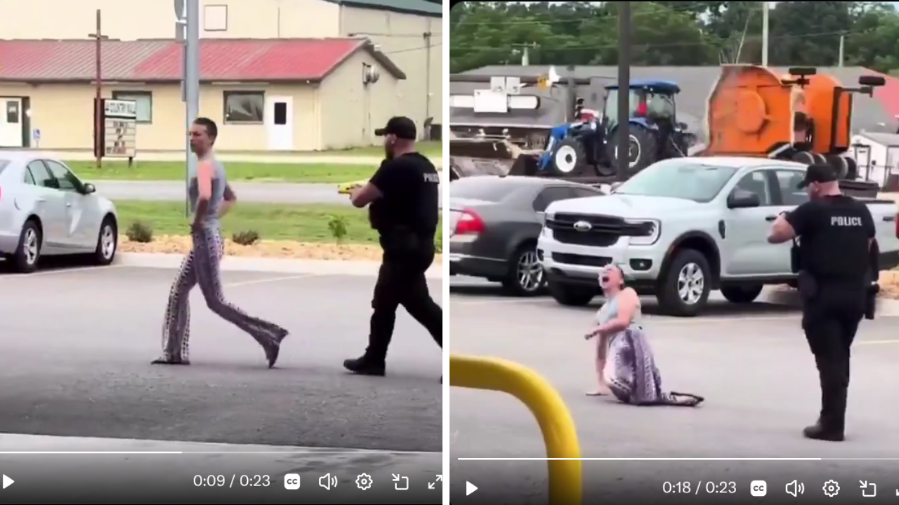 "Don't Touch Me": Woman Finds Out She Can Get Tased by Police for Stealing and Resisting Arrest