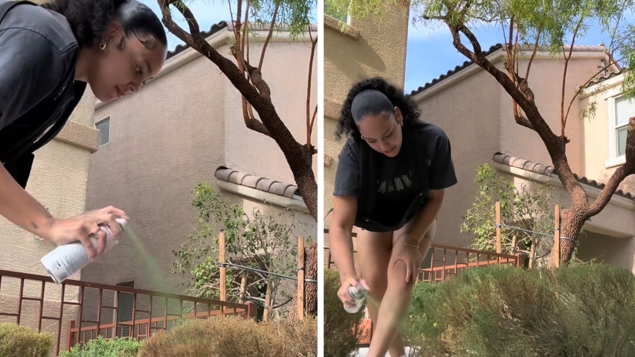 Woman Spray-Paints Dead Bush Green After $45 HOA Fine