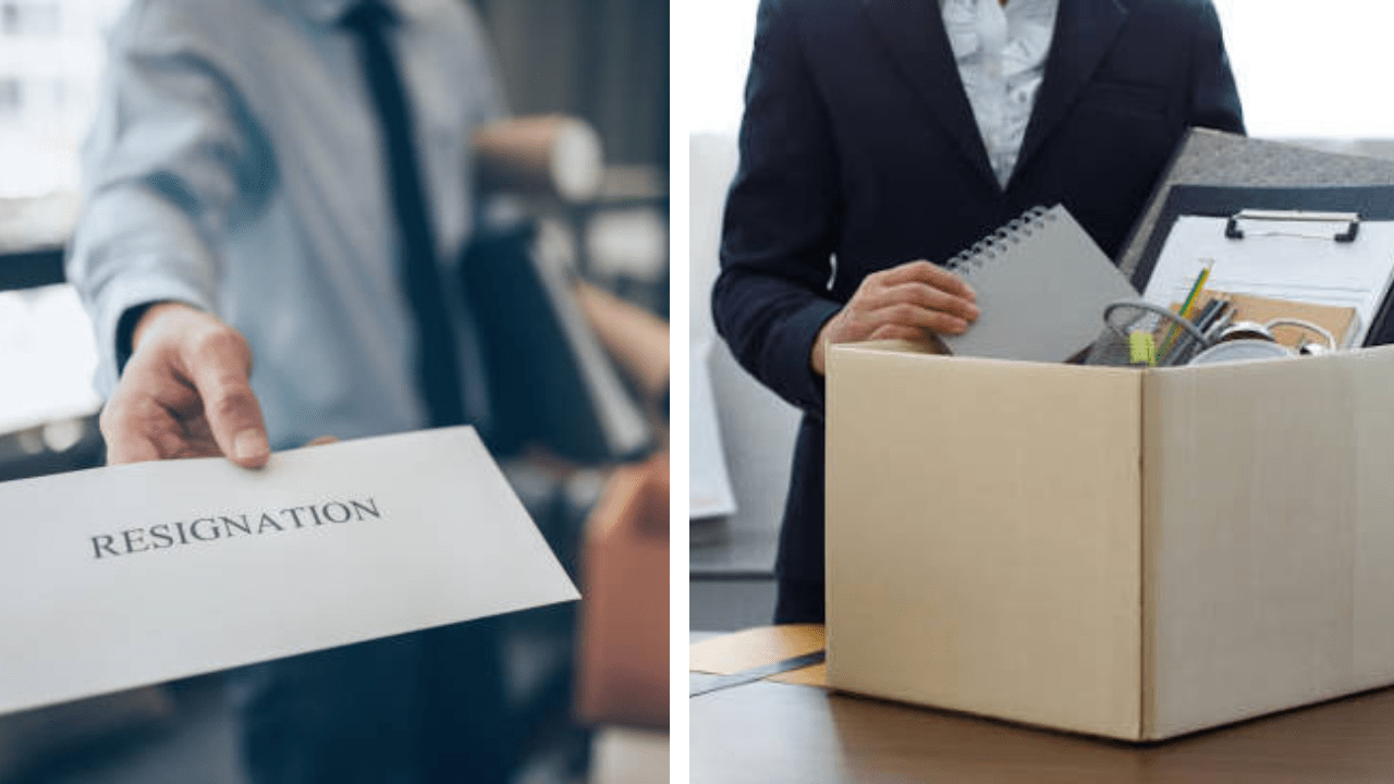 Employee’s Two-Week Notice Turns Into Workplace Drama