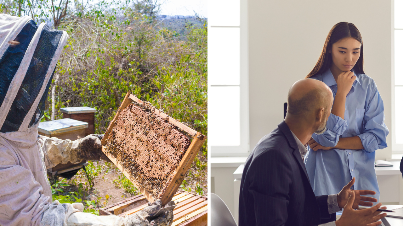 Employee Accused of “Grooming” Coworker Over Talking About Bees