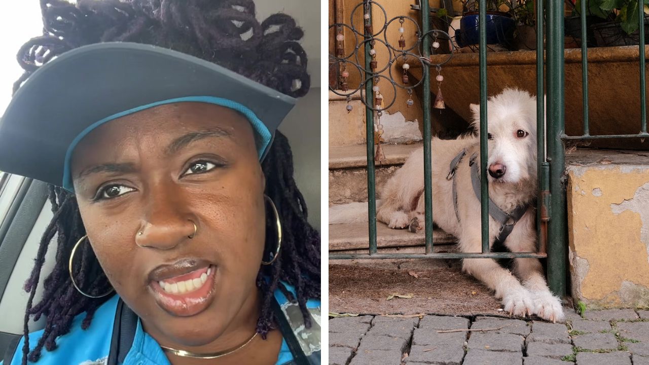 A Delivery Driver Refused to Test Whether a Stranger’s Dog Would Obey Her Commands — TikTok Is Divided Over Whether She Was Right