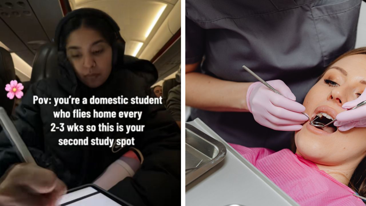 Dental student Diksha studies dentistry notes aboard a flight home in a TikTok video posted Sept. 16.
