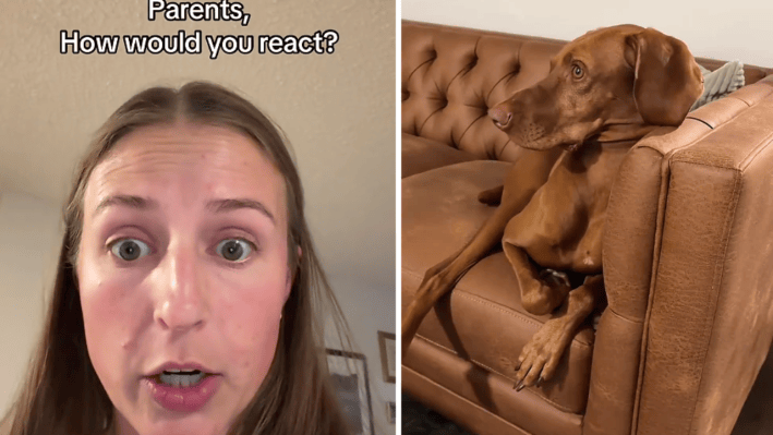 Dog Mom Says her Dog Daughter is Pretty and Gets Complimented by Strangers Wherever They Go, So it's Hard for her not to Brag