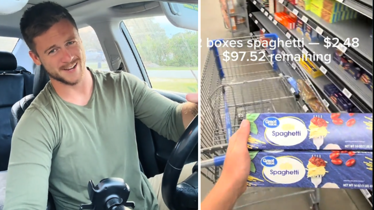 TikToker Shows How Far $100 Goes on Groceries at Walmart