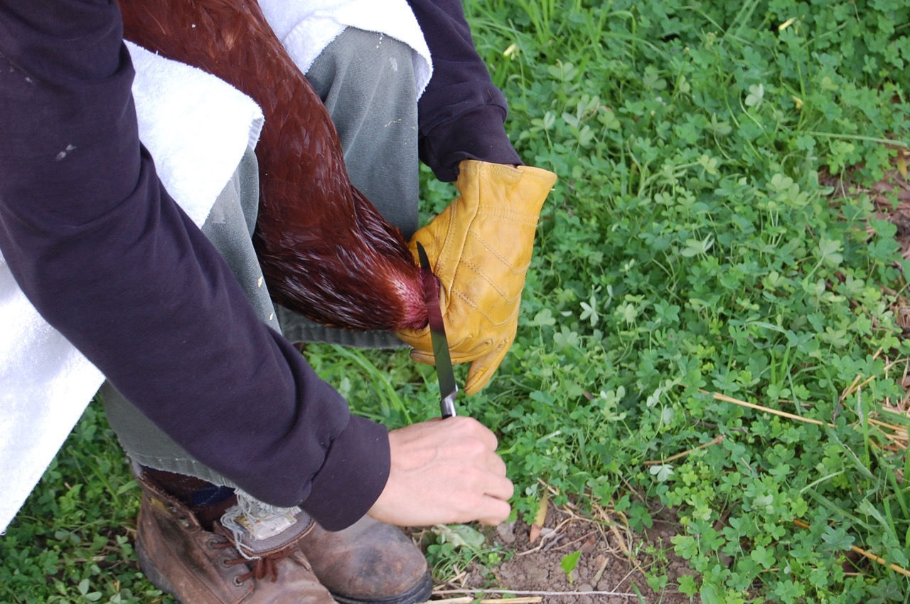 Just before the moment of truth.