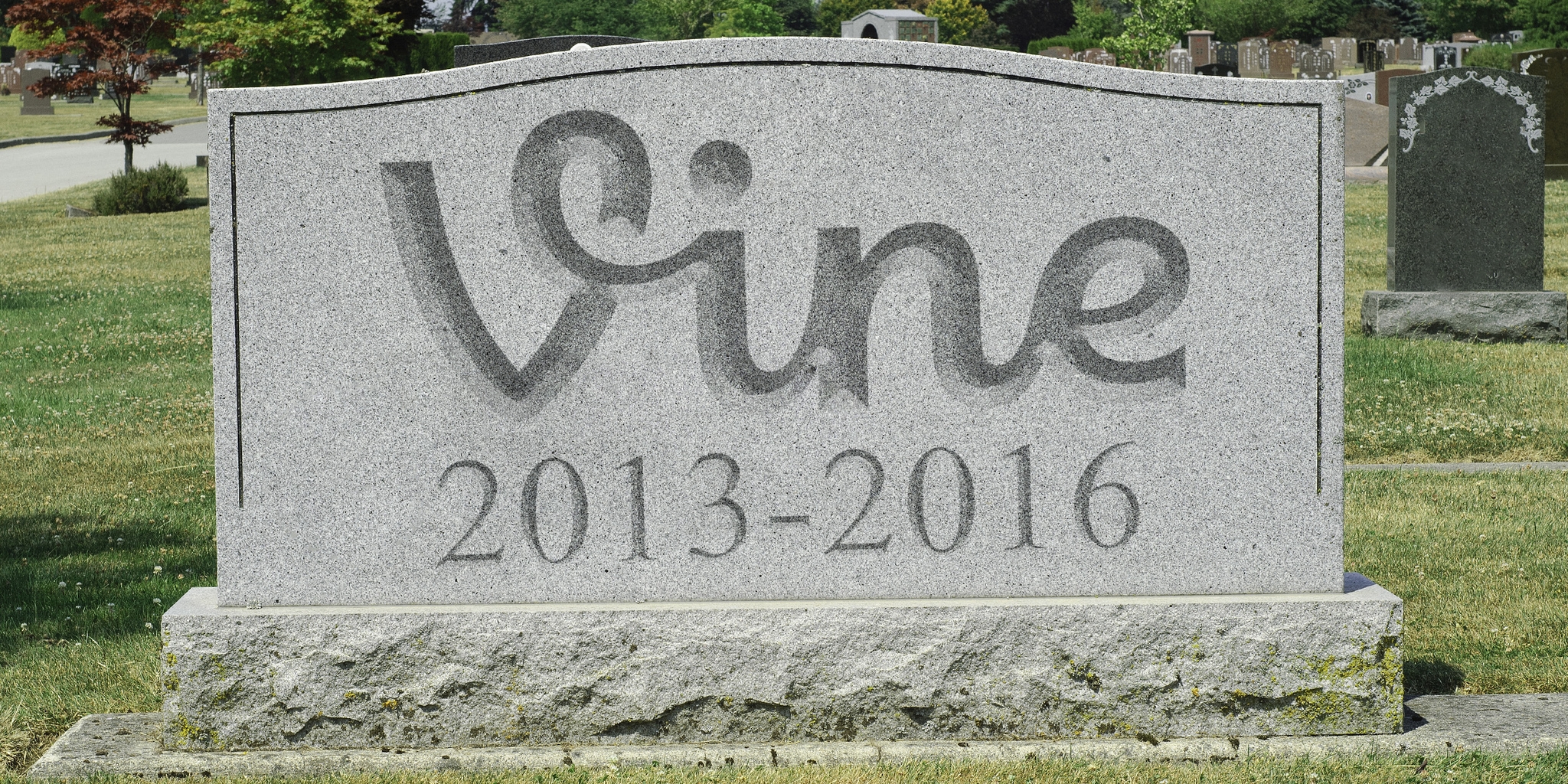 Meme Aboutm Rip RIP Vine: Twitter to Discontinue the App