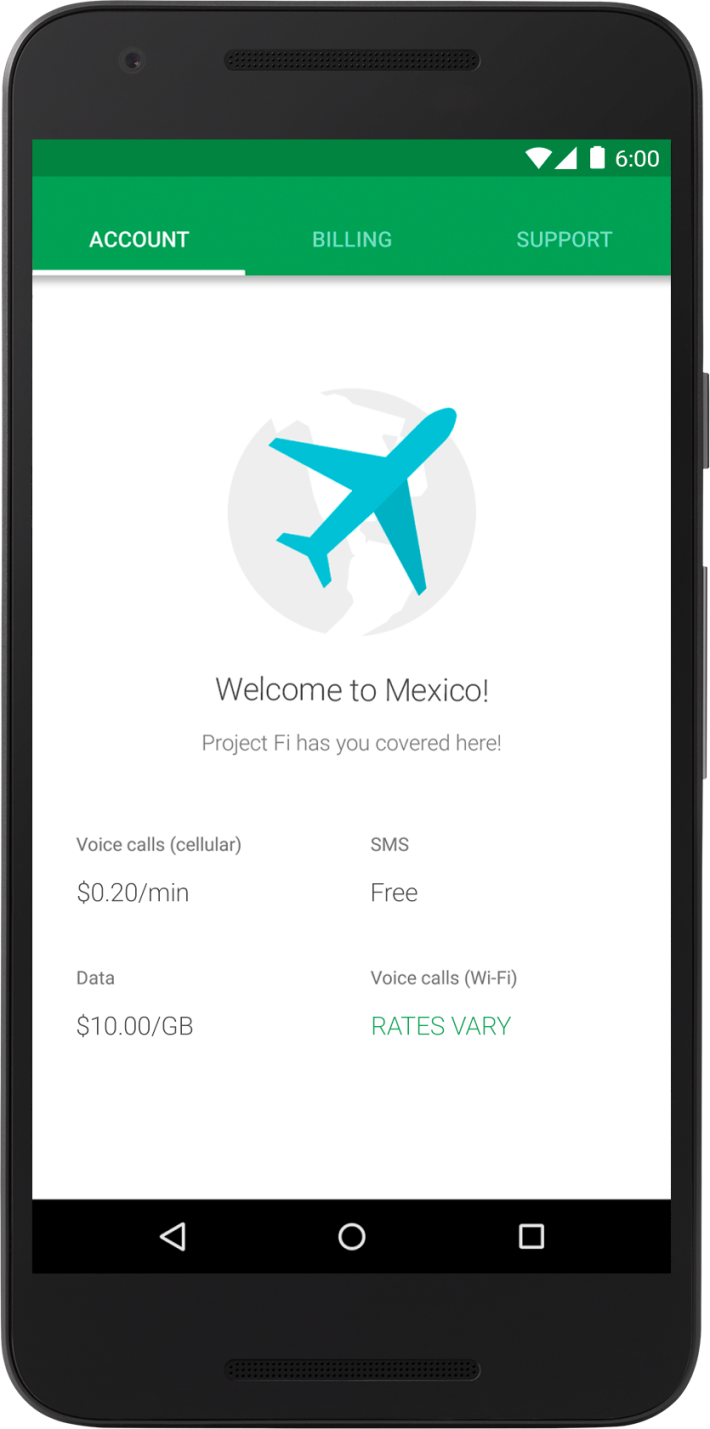 How much does Project Fi cost? google project fi international fees
