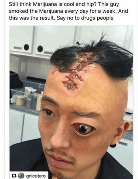 weed memes