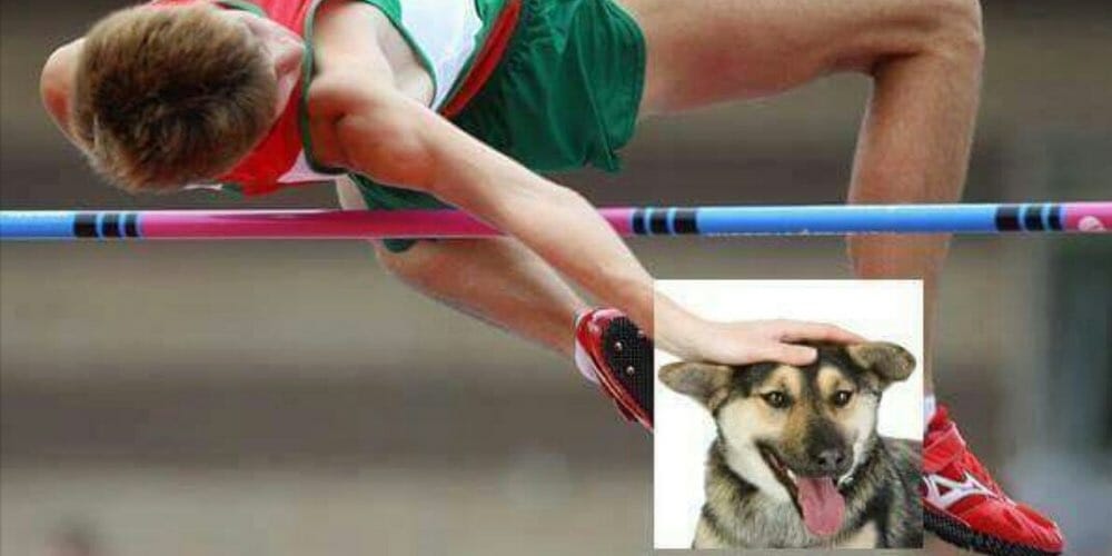 pole vaulter petting dog meme big
