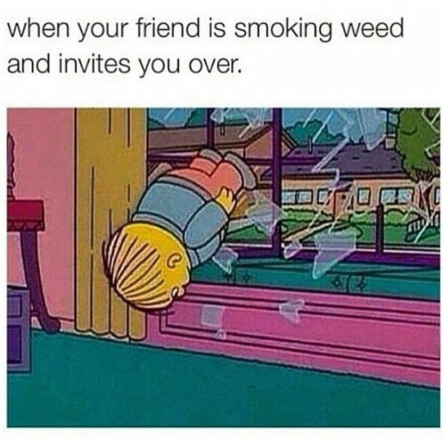 best weed memes