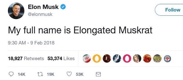 elongated muskrat meme - elon musk tweet