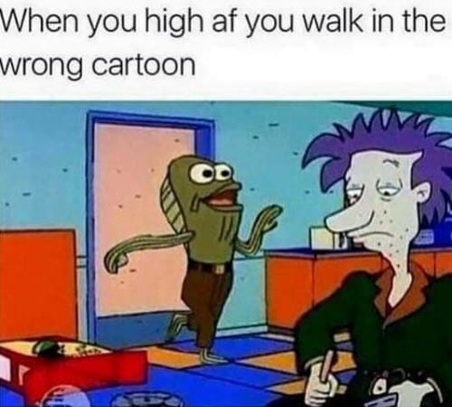 hilarious weed memes