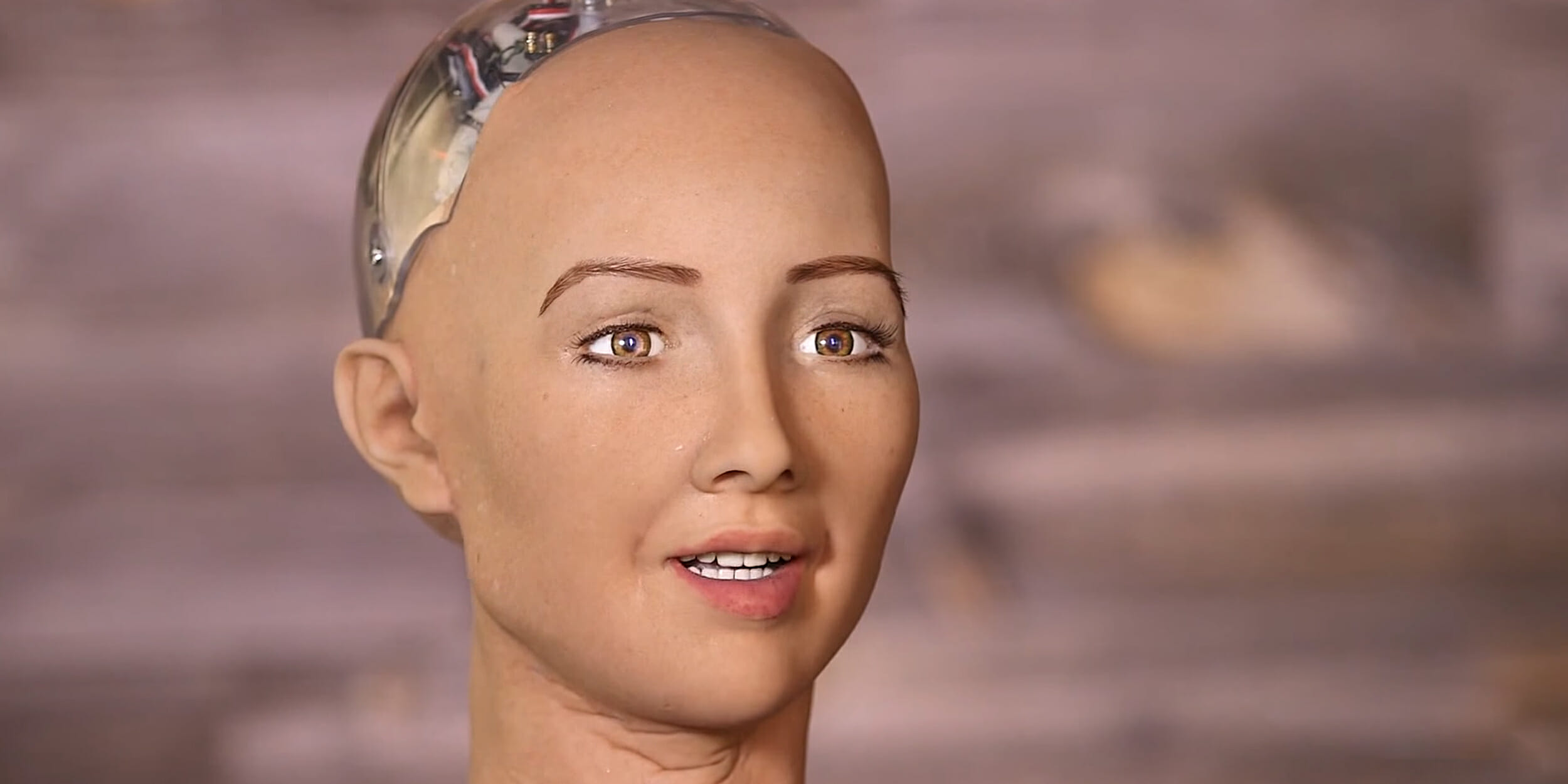 Sophia the humanlike robot