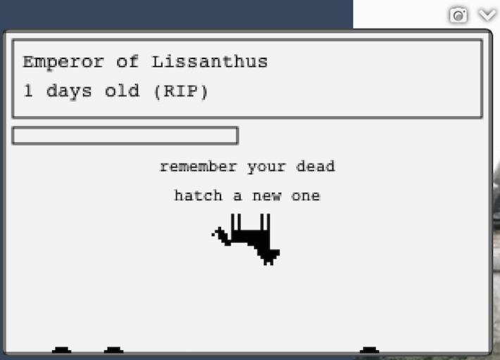 A screengrab of Tumblr.com