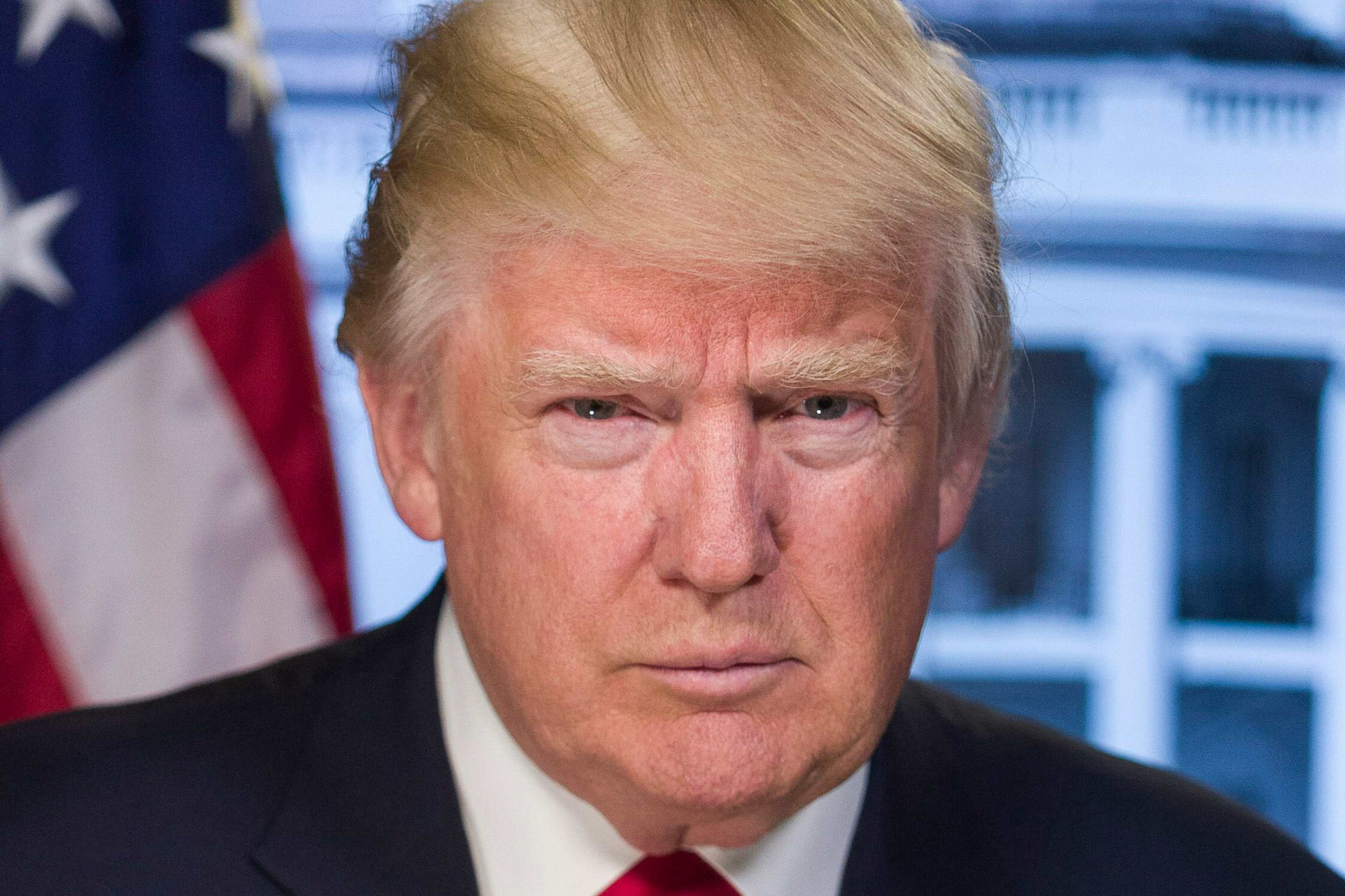 President Donald Trump Official Portrait