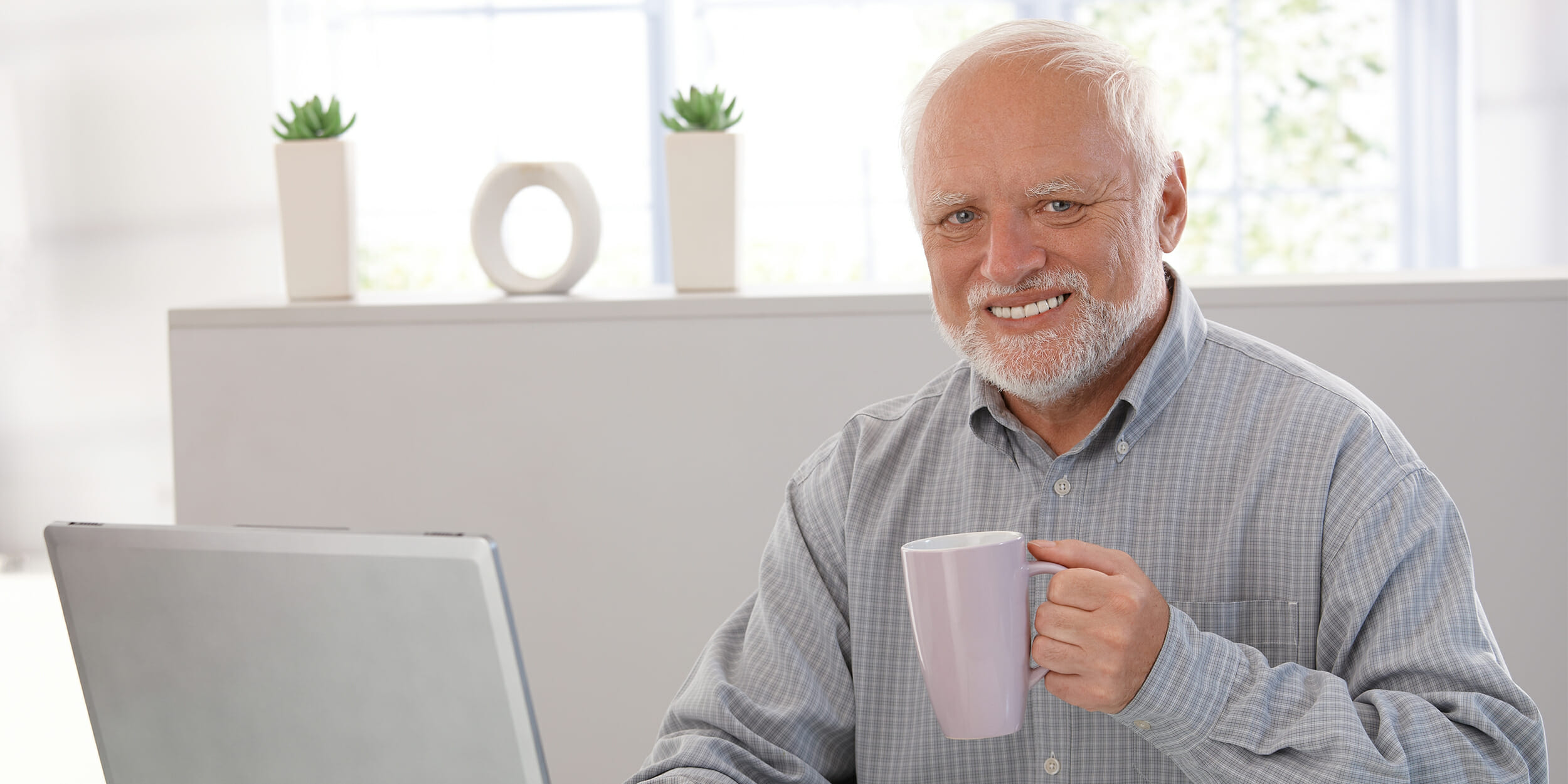 "Hide the Pain Harold" man holding mug sitting at laptop