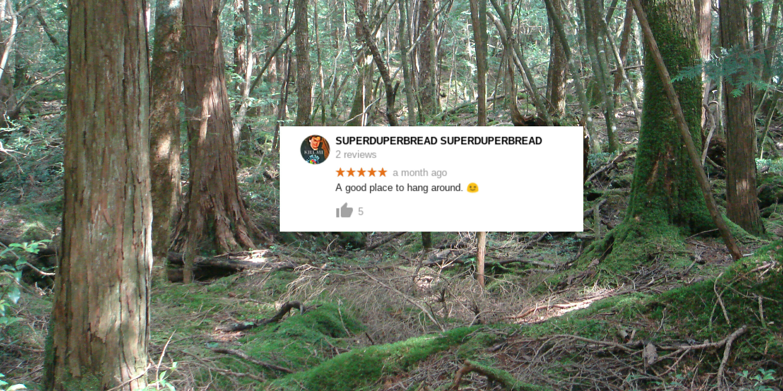 Insensitive suicide jokes plague Aokigahara's listing on Google Maps