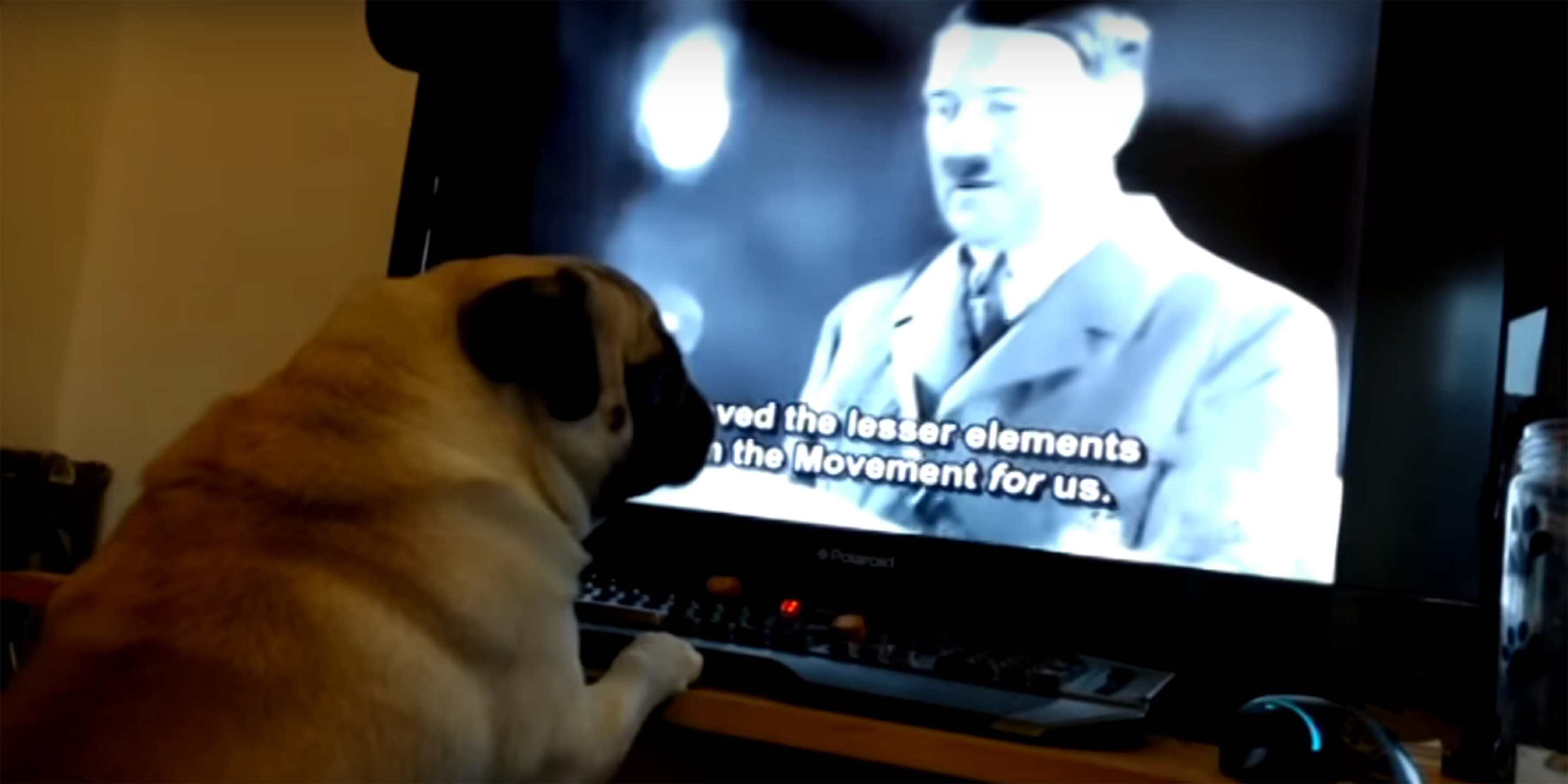 count dankula