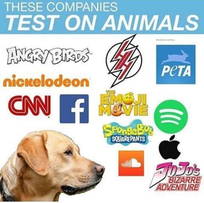companies test on animals meme