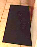 dog on rug