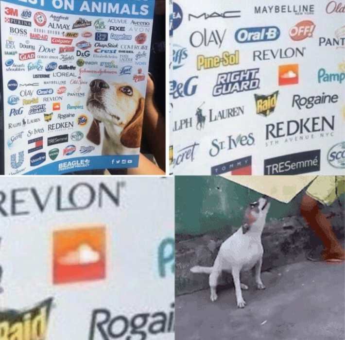 soundcloud animal testing meme dancing dog