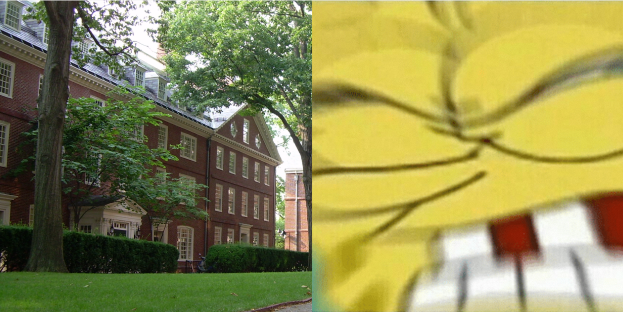 harvard memes