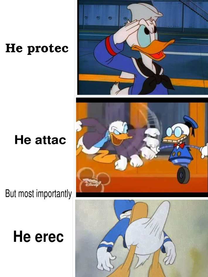 donald duck protec attac meme