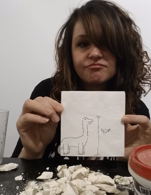 Kristen Auclair of Christians Against Dinosaurs denies that the prehistoric creatures ever existed.