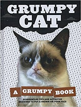 Grumpy Cat book