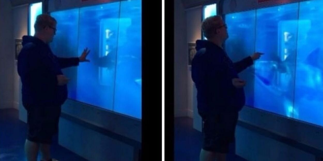 Shark tank International Spy Museum